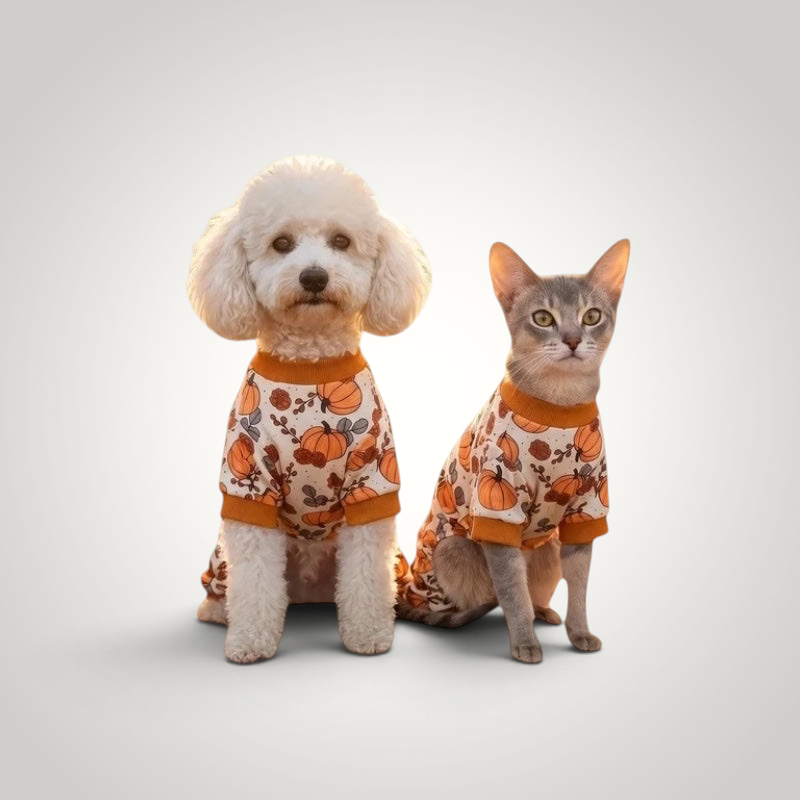 HappiFinds yellow pumpkin print pajama onesies worn by a white poodle and a grey cat for cozy fall pet fashion.