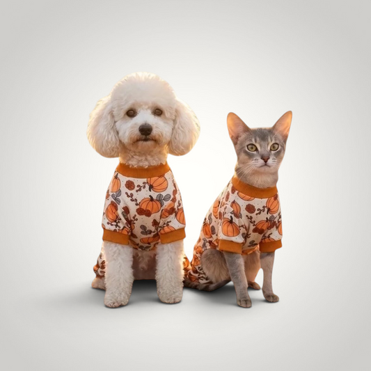 HappiFinds yellow pumpkin print pajama onesies worn by a white poodle and a grey cat for cozy fall pet fashion.