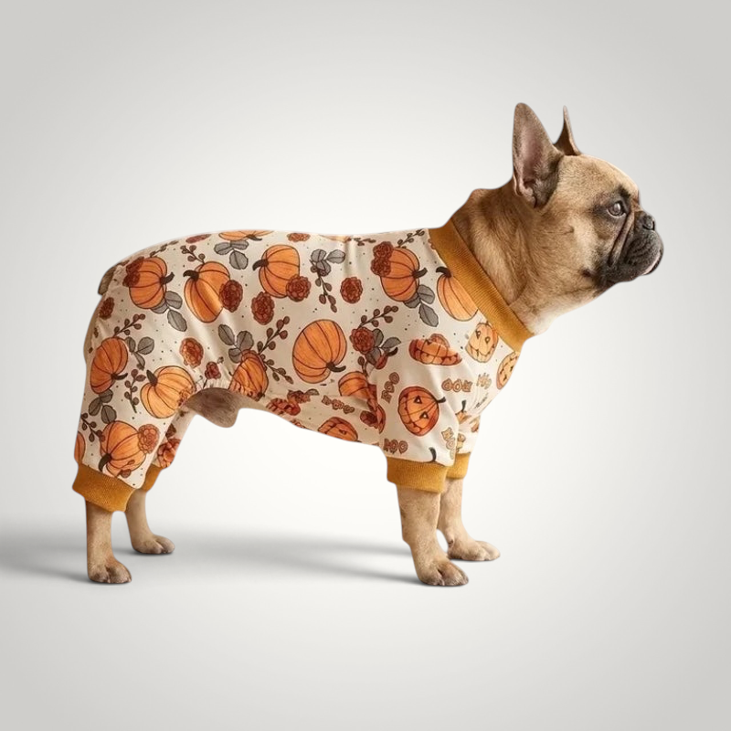 HappiFinds yellow pumpkin print four-legged pajama onesie worn by a French Bulldog for fall comfort