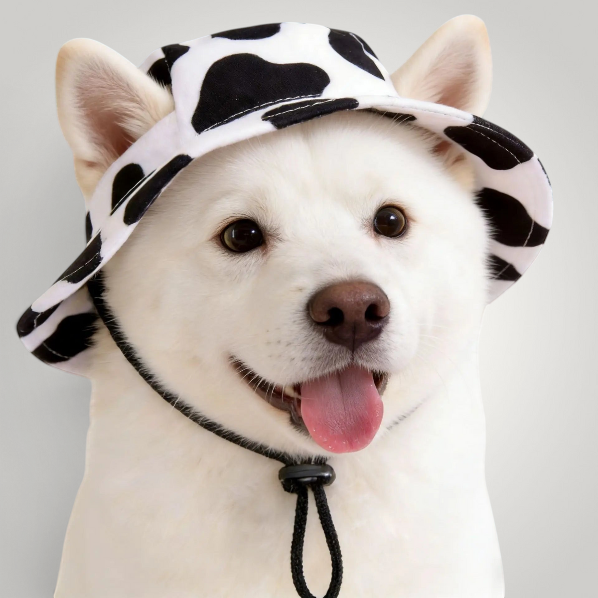 HappiFinds dog sun hat in black and white cow print worn by a happy white dog with an adjustable chin strap