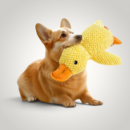 HappiFinds yellow plush duck dog toy with textured fabric being held by a Corgi puppy