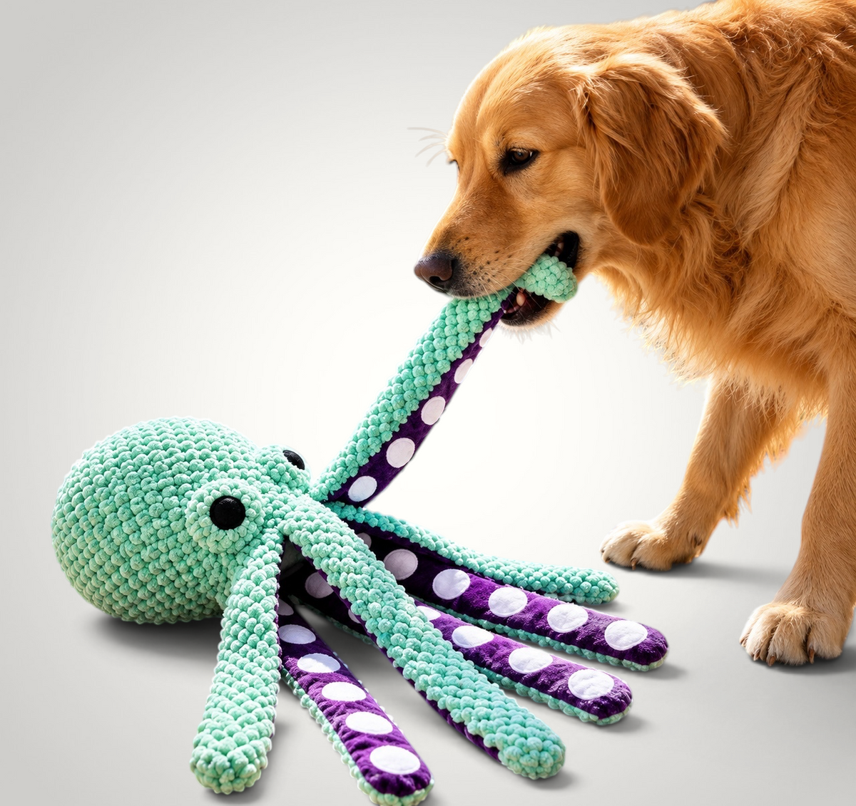 Golden Retriever playing with a HappiFinds plush octopus dog toy featuring a mint green textured fabric and tentacles