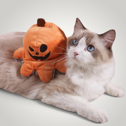 HappiFinds reversible plush pumpkin octopus toy resting on a fluffy cat with blue eyes